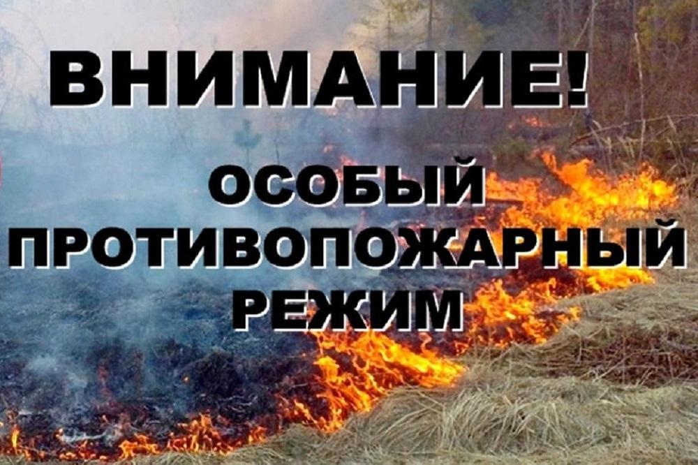Красноярский край объявляет особый противопожарный режим: будьте бдительны!.